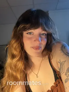 Roommate looking Gainesville, FL, $800