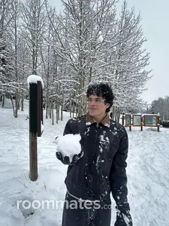 Roommate looking Glendale, AZ, $600