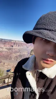 Roommate looking Cary, NC, $1200