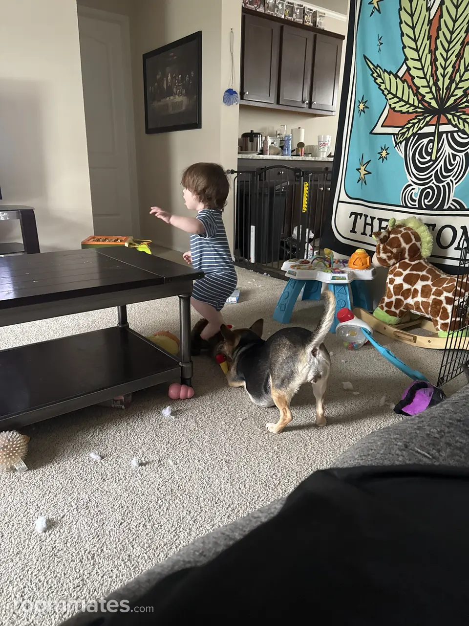 Profile photo 2 of 3