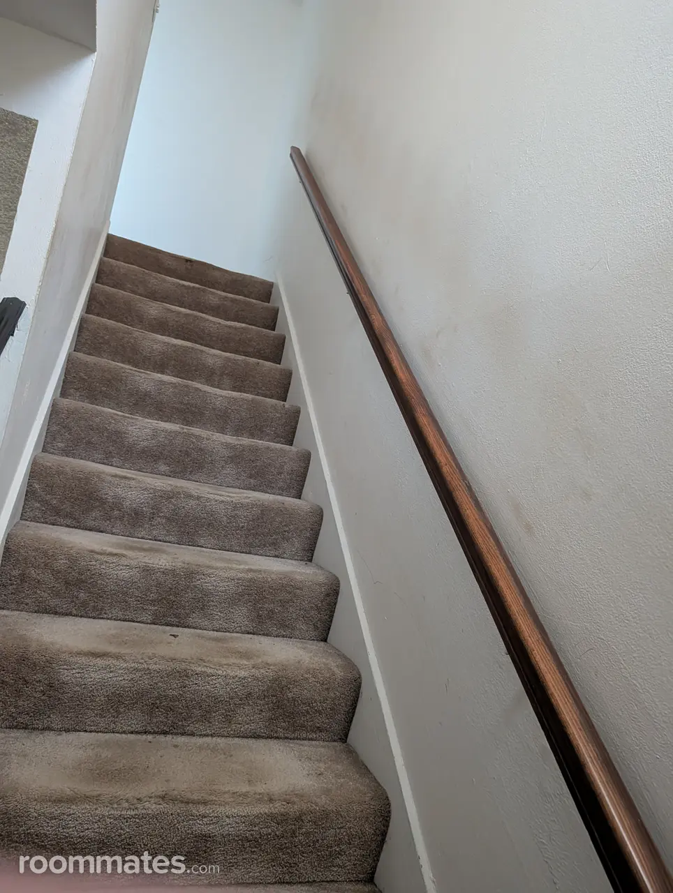 Profile photo 3 of 10