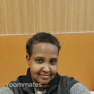 Roommate looking Minneapolis, MN, $1000