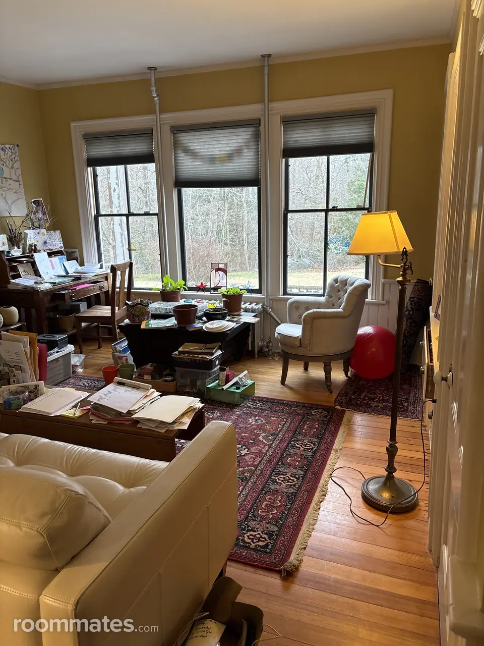 Profile photo 2 of 7