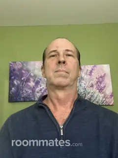 Roommate looking Canal Winchester, OH, $1000