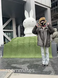 Roommate looking Orlando, FL, $700