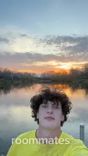 Roommate looking Springfield, MO, $600