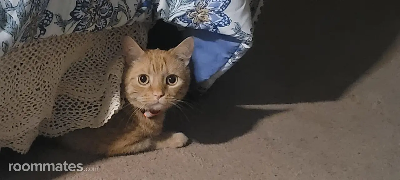 Profile photo 3 of 3