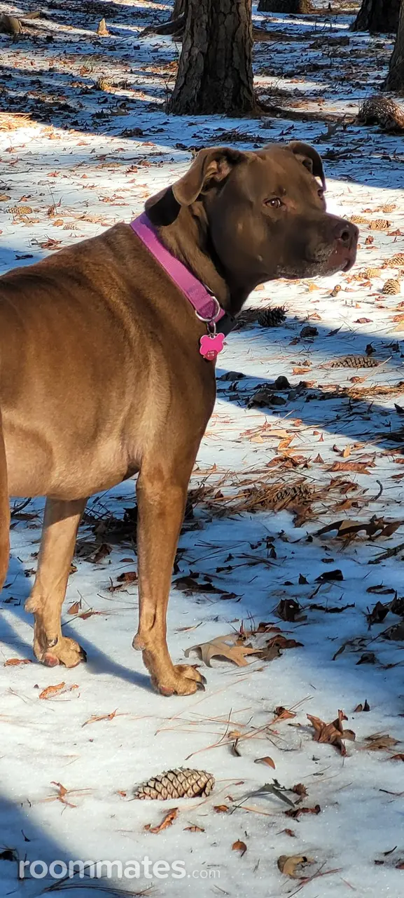 Profile photo 2 of 3