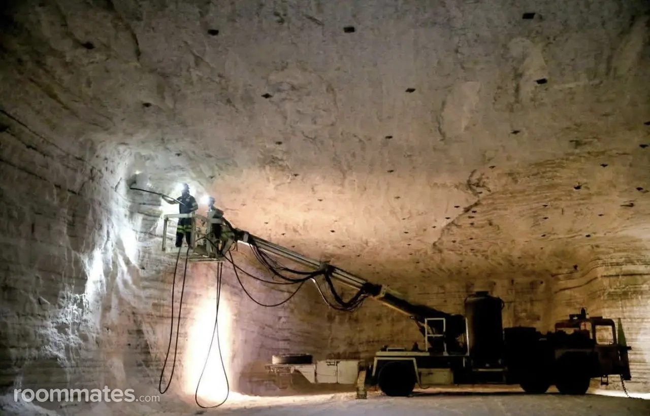 Profile photo 8 of 11