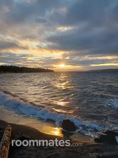 Roommate looking Federal Way, WA, $1000