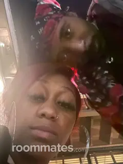 Roommate looking Dolton, IL, $1000