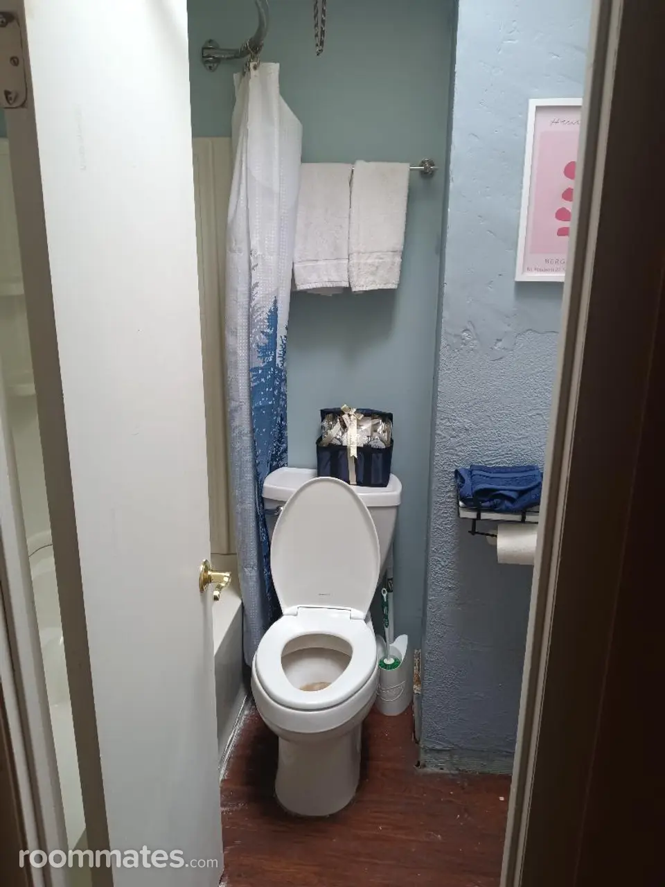 Profile photo 4 of 6