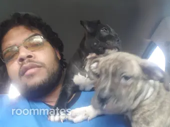 Roommate looking Memphis, TN, $1000