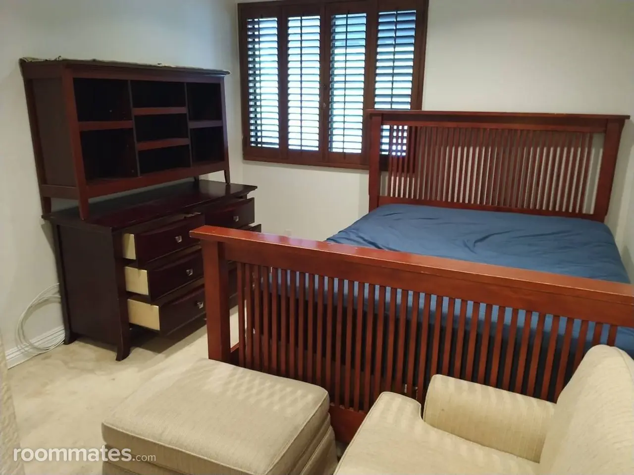 Profile photo 1 of 11