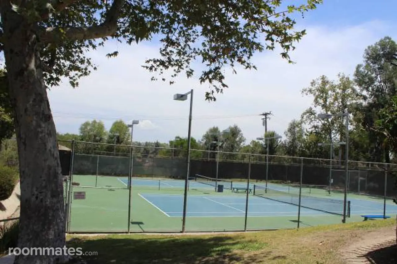 Profile photo 8 of 11