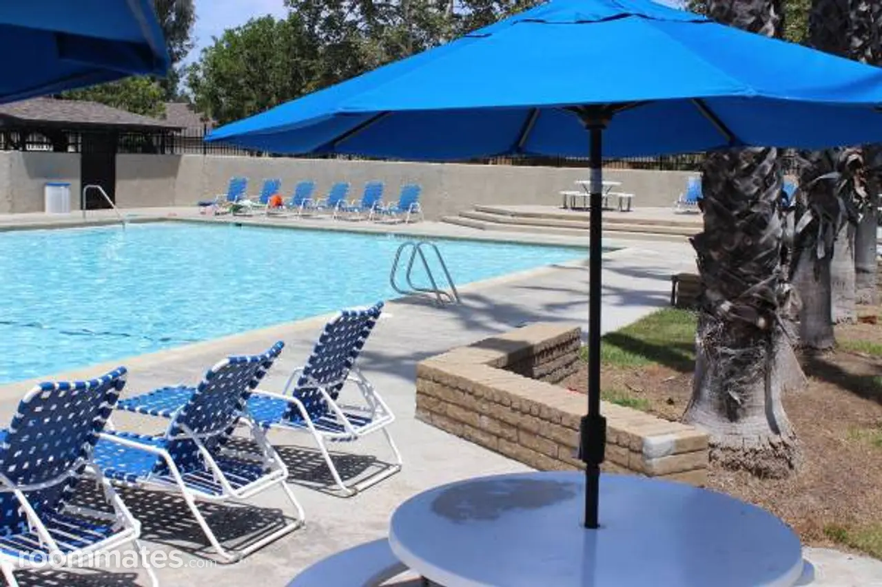 Profile photo 7 of 11