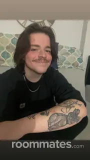 Roommate looking St. Louis, MO, $800