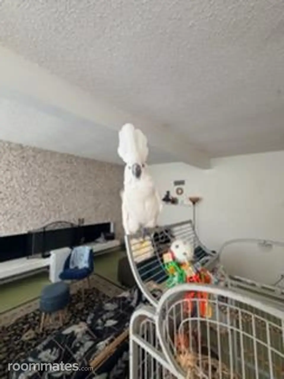 Profile photo 4 of 11