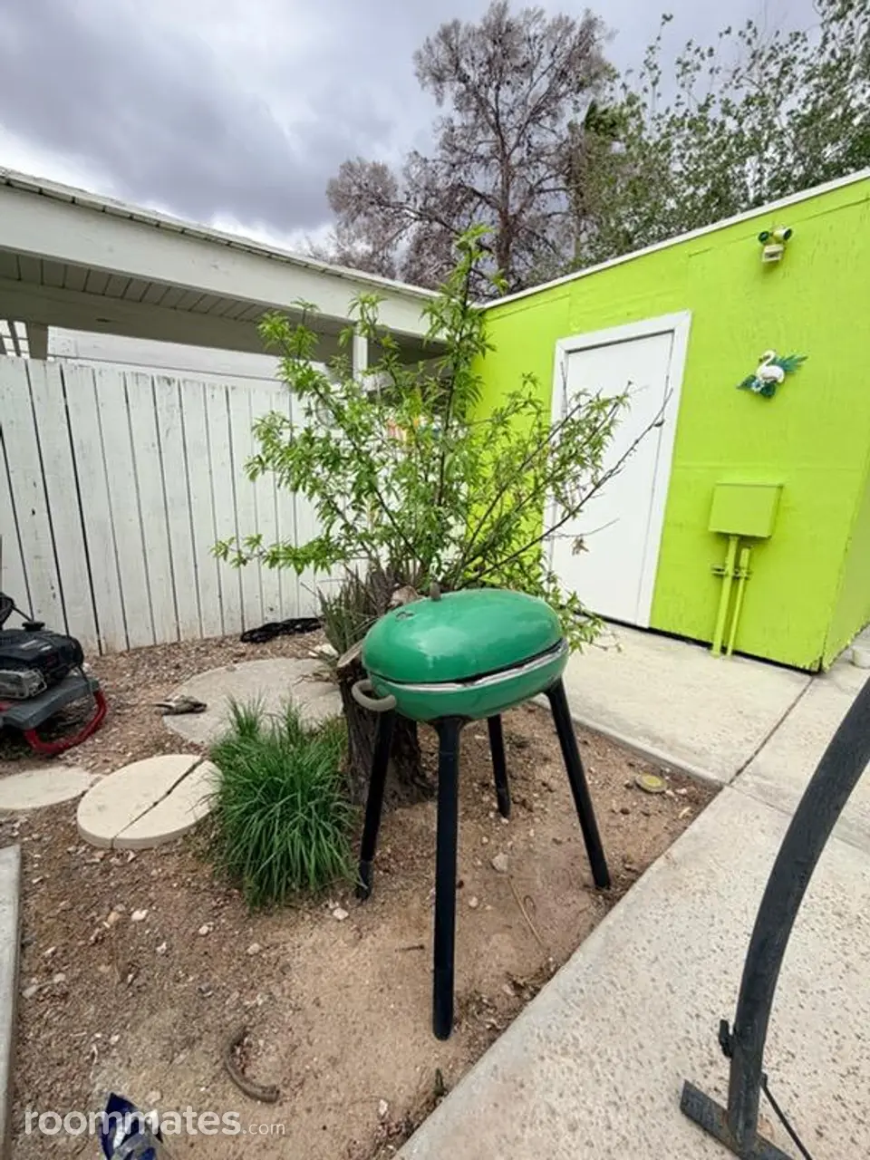 Profile photo 5 of 11