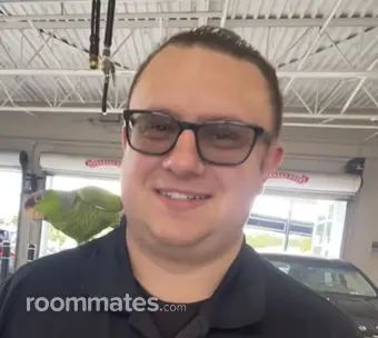 Roommate looking Fort Myers, FL, $800