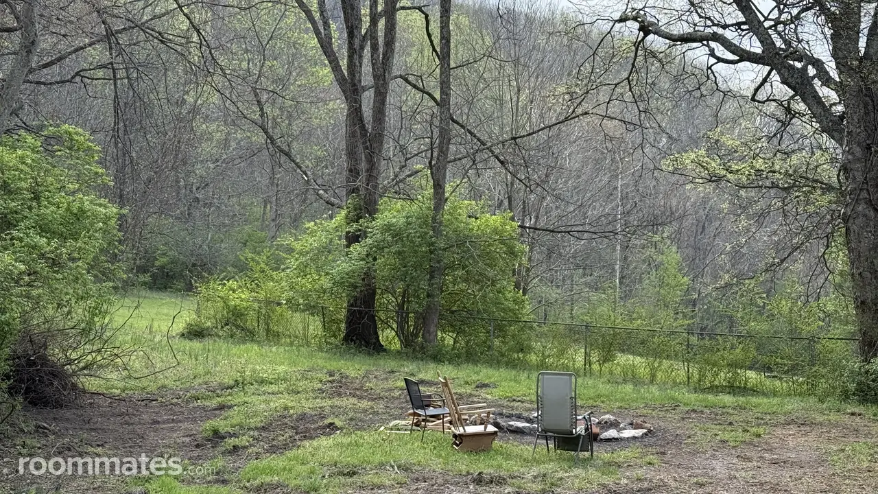 Profile photo 2 of 15