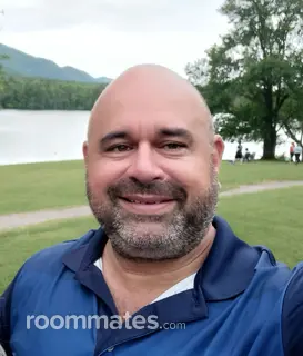 Roommate looking Sarasota, FL, $1000