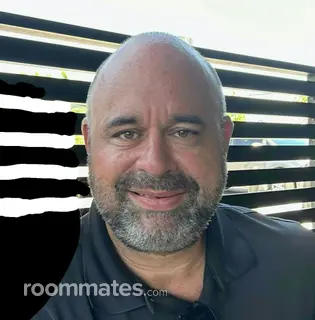 Roommate looking Sarasota, FL, $1100