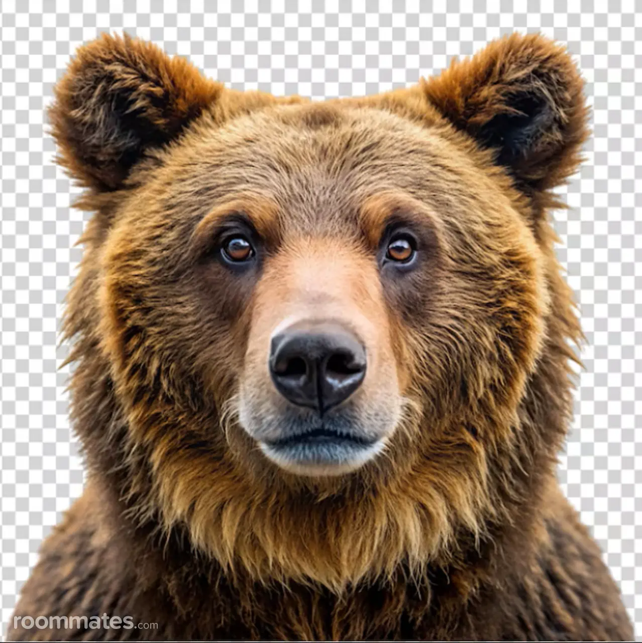 Profile photo 1 of 1