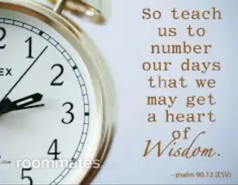 Roommate looking Fort Wayne, IN, $900