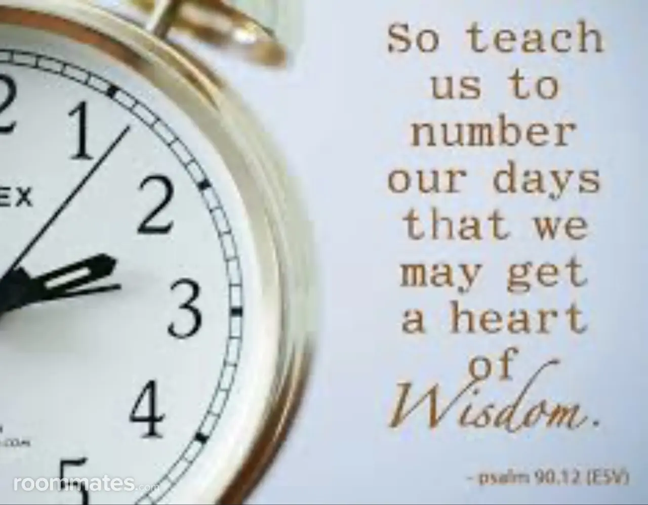 Profile photo 1 of 1