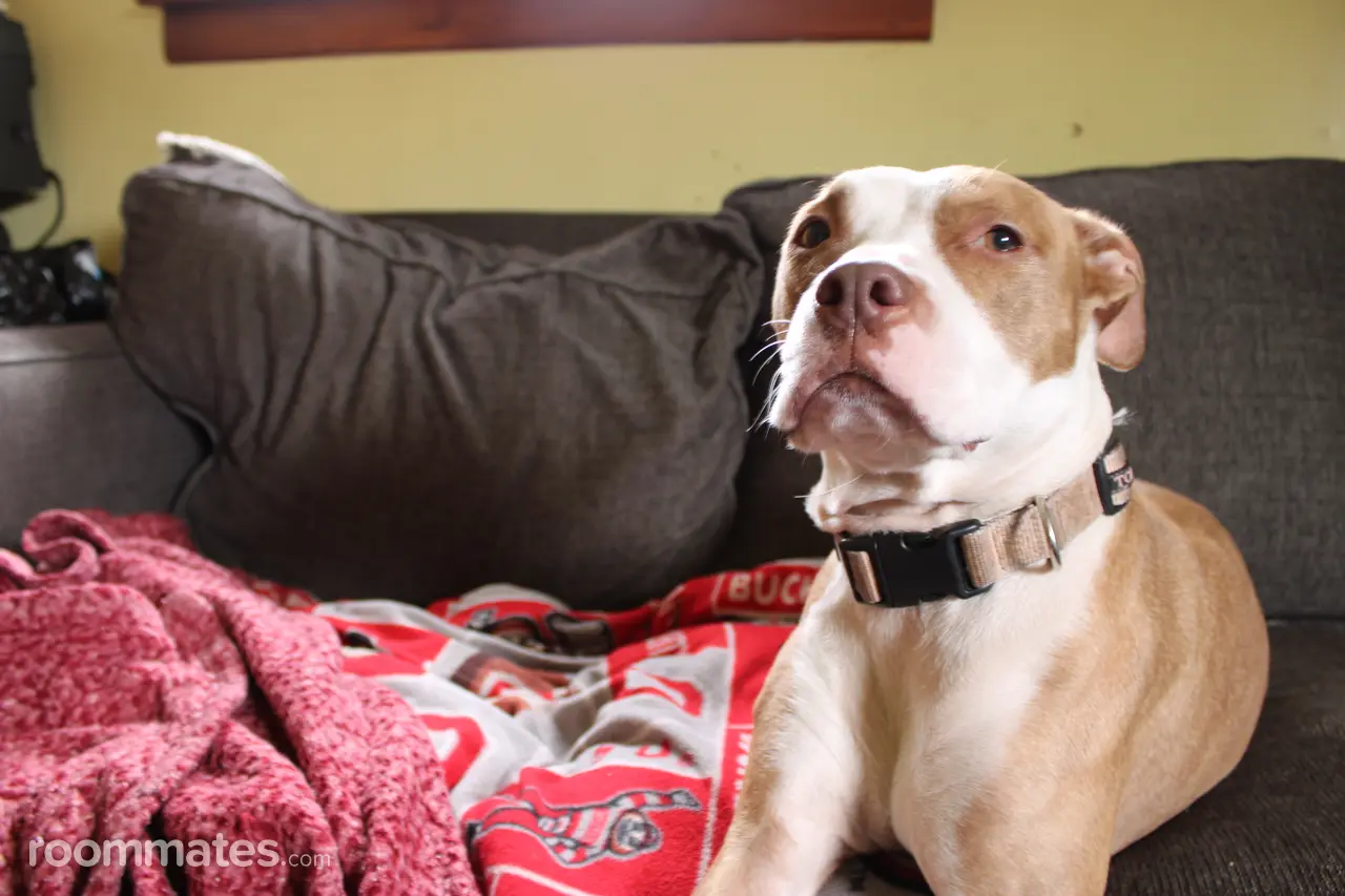 Profile photo 7 of 7