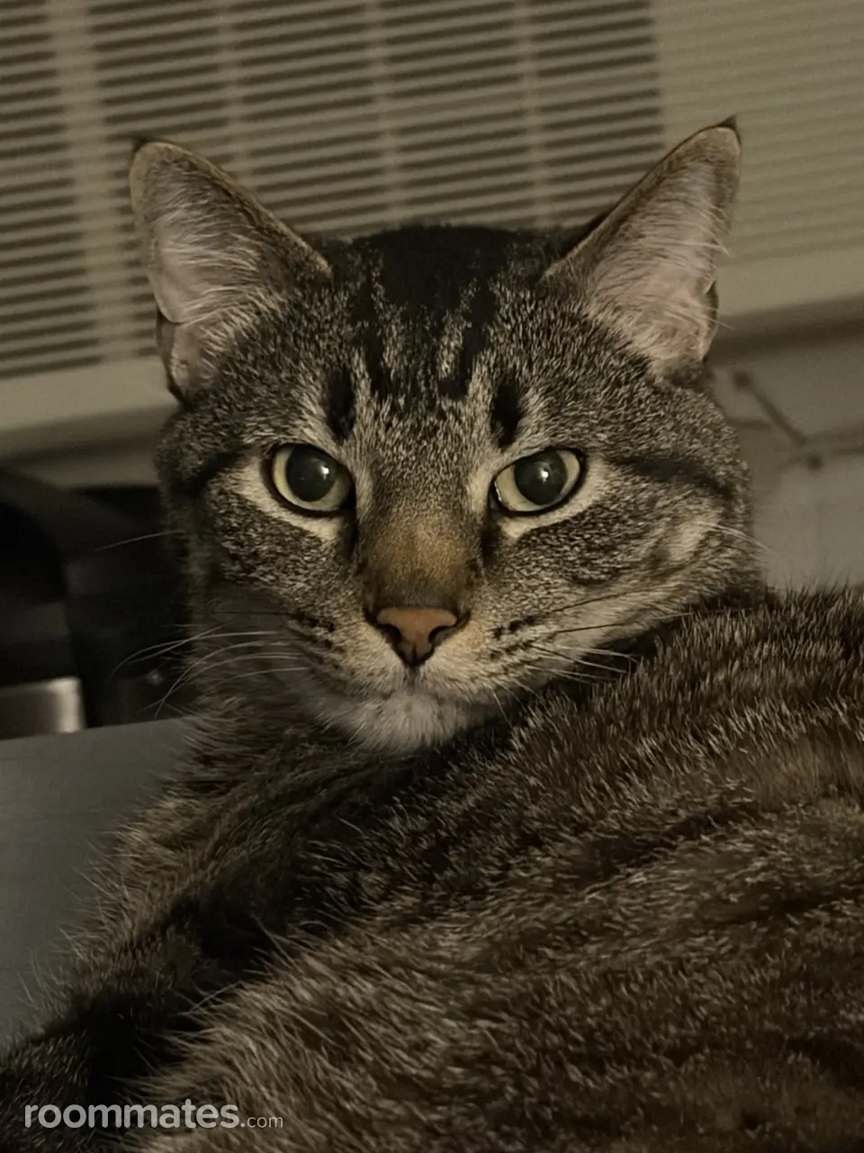 Profile photo 3 of 3