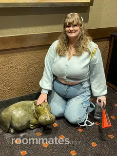 Roommate looking Minneapolis, MN, $1000