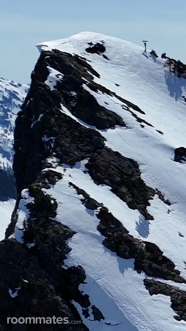 Profile photo 11 of 11