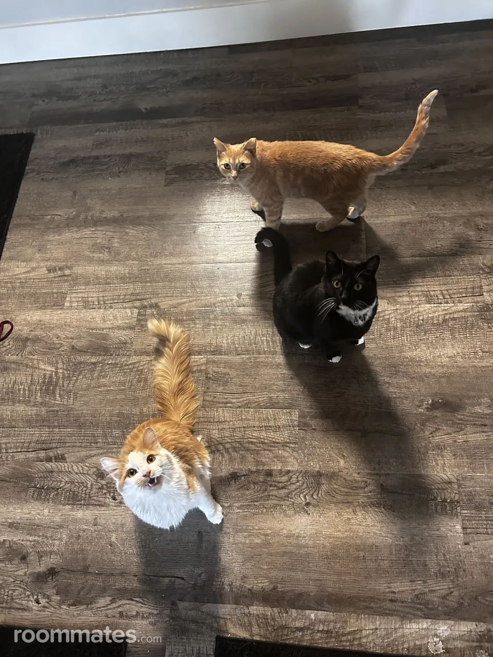 Profile photo 5 of 5