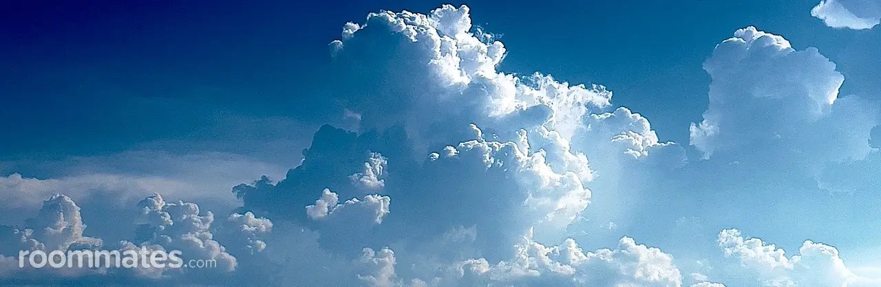 Profile photo 1 of 1