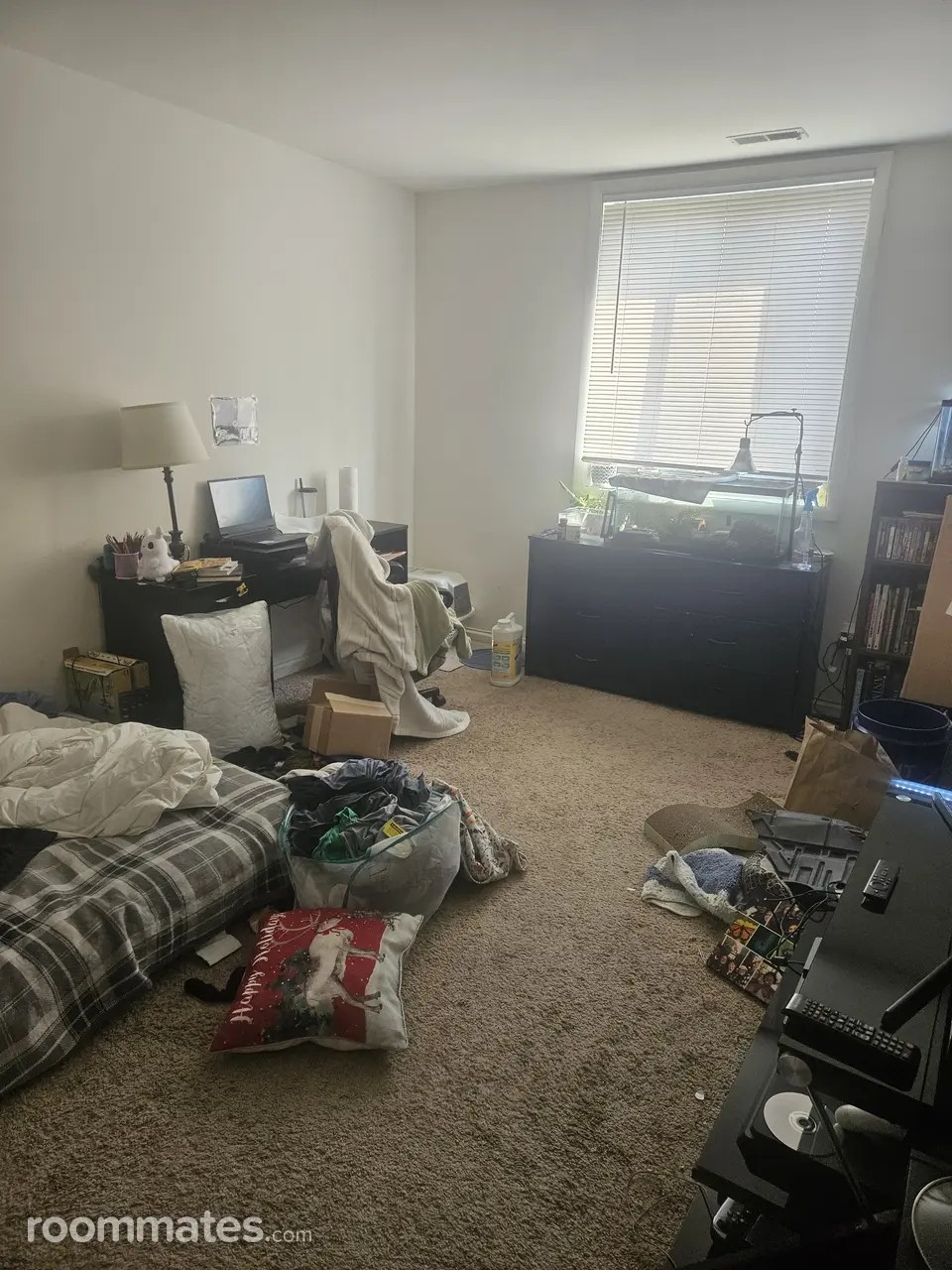 Profile photo 4 of 6