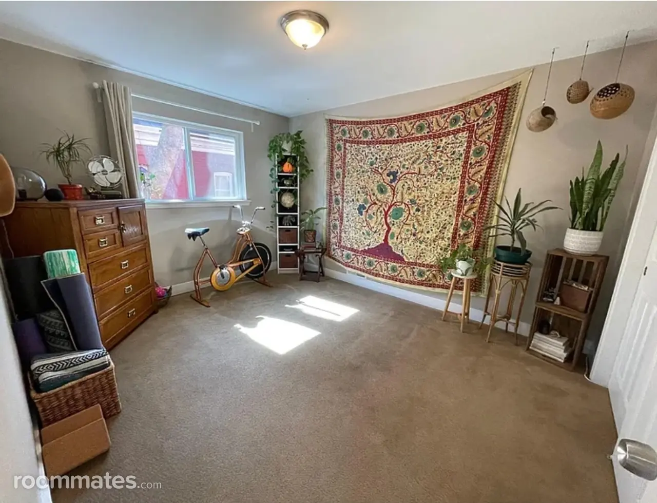 Profile photo 1 of 11