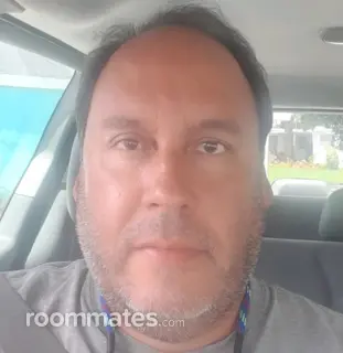 Roommate looking Sarasota, FL, $700