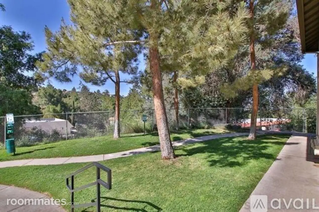 Profile photo 7 of 10