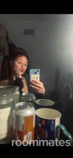 Roommate looking Allentown, PA, $800