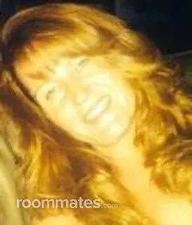 Roommate looking Clearwater Beach, FL, $1000