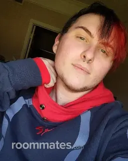 Roommate looking Renton, WA, $1600