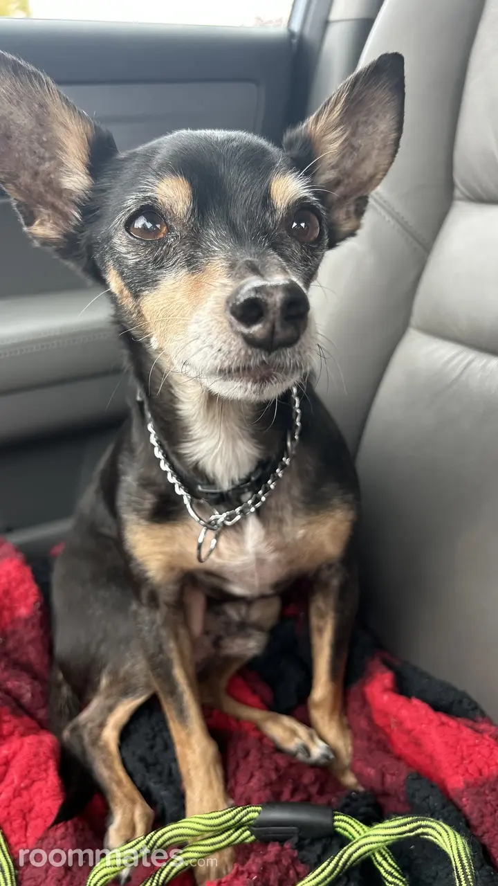 Profile photo 4 of 4