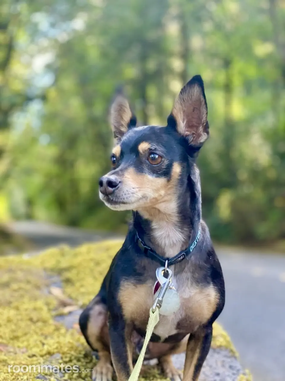 Profile photo 3 of 4