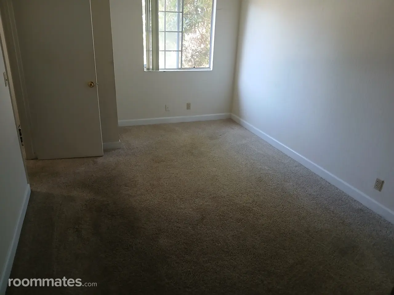 Profile photo 1 of 4