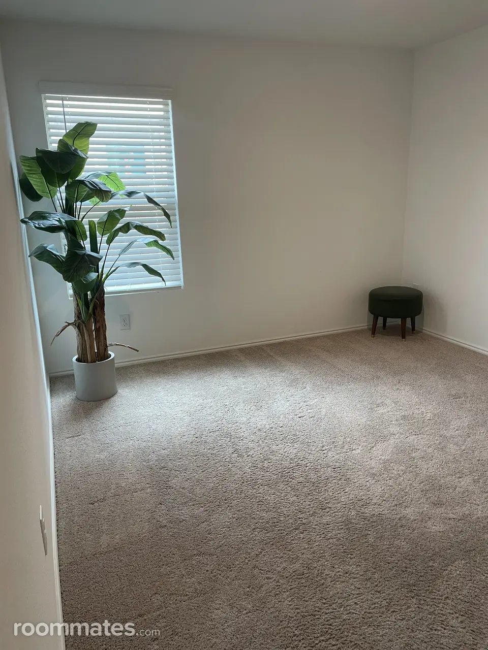 Profile photo 2 of 3