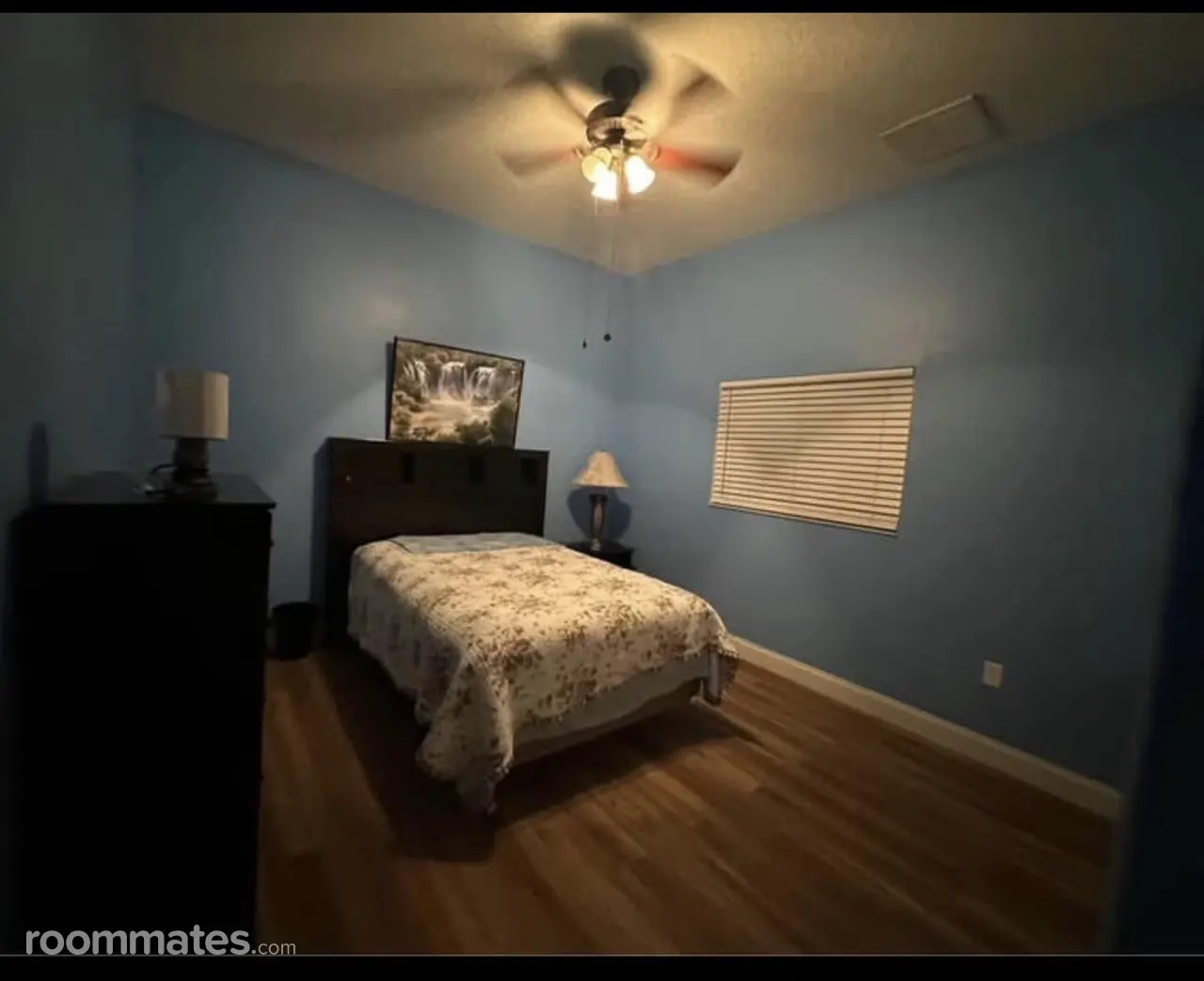 Profile photo 1 of 15