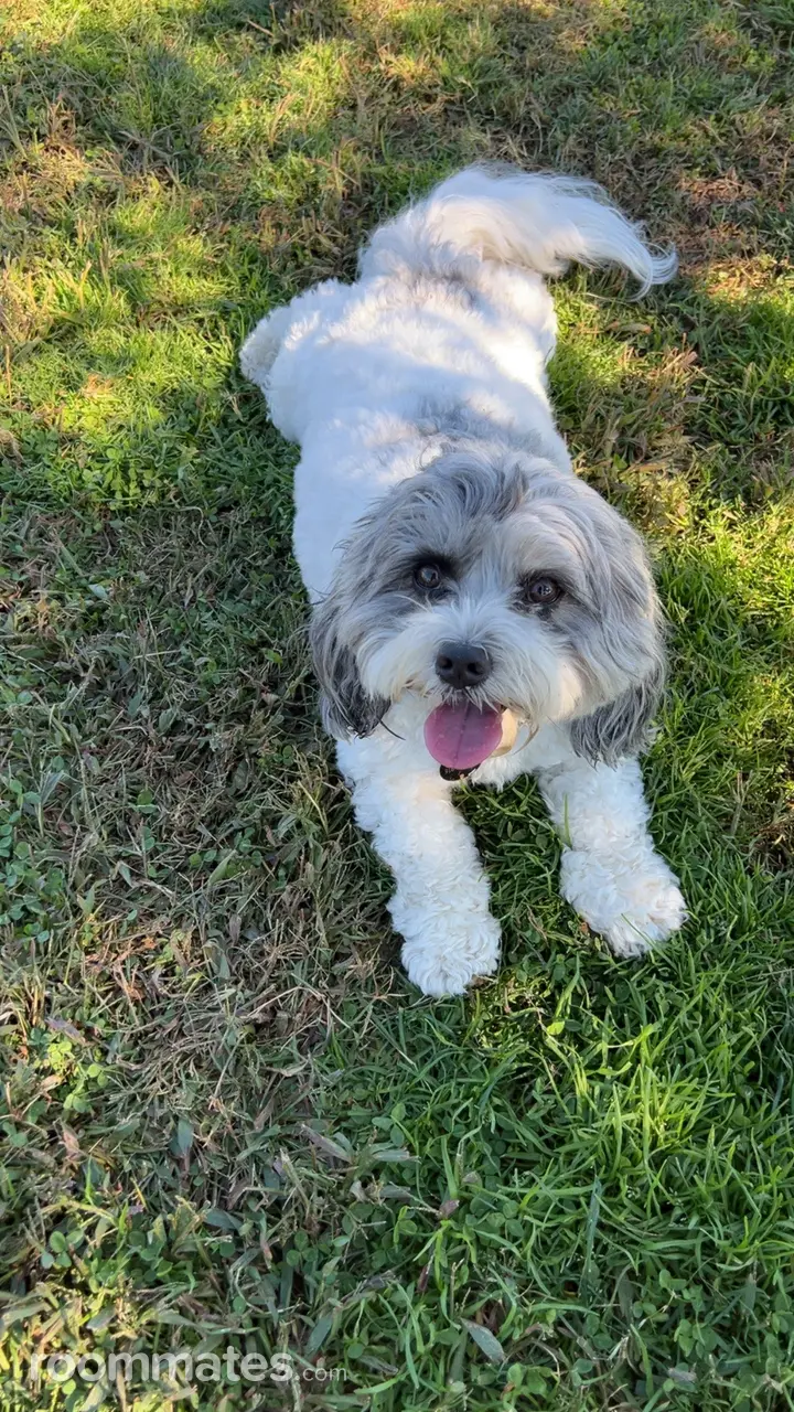 Profile photo 4 of 5