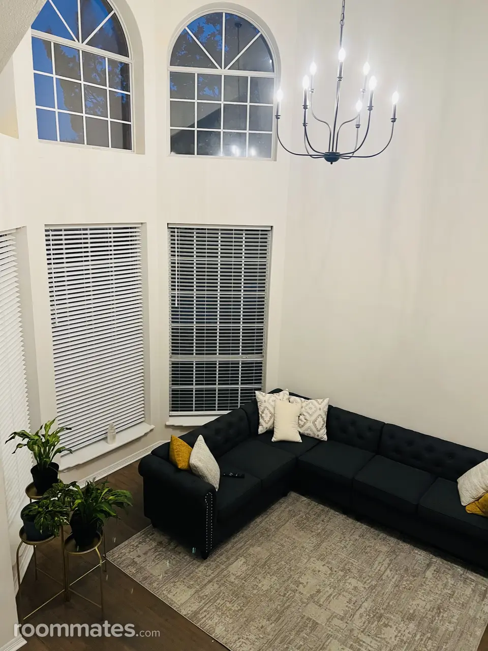 Profile photo 6 of 10